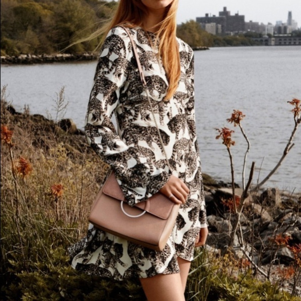 H&M leopard cat print long sleeve dress